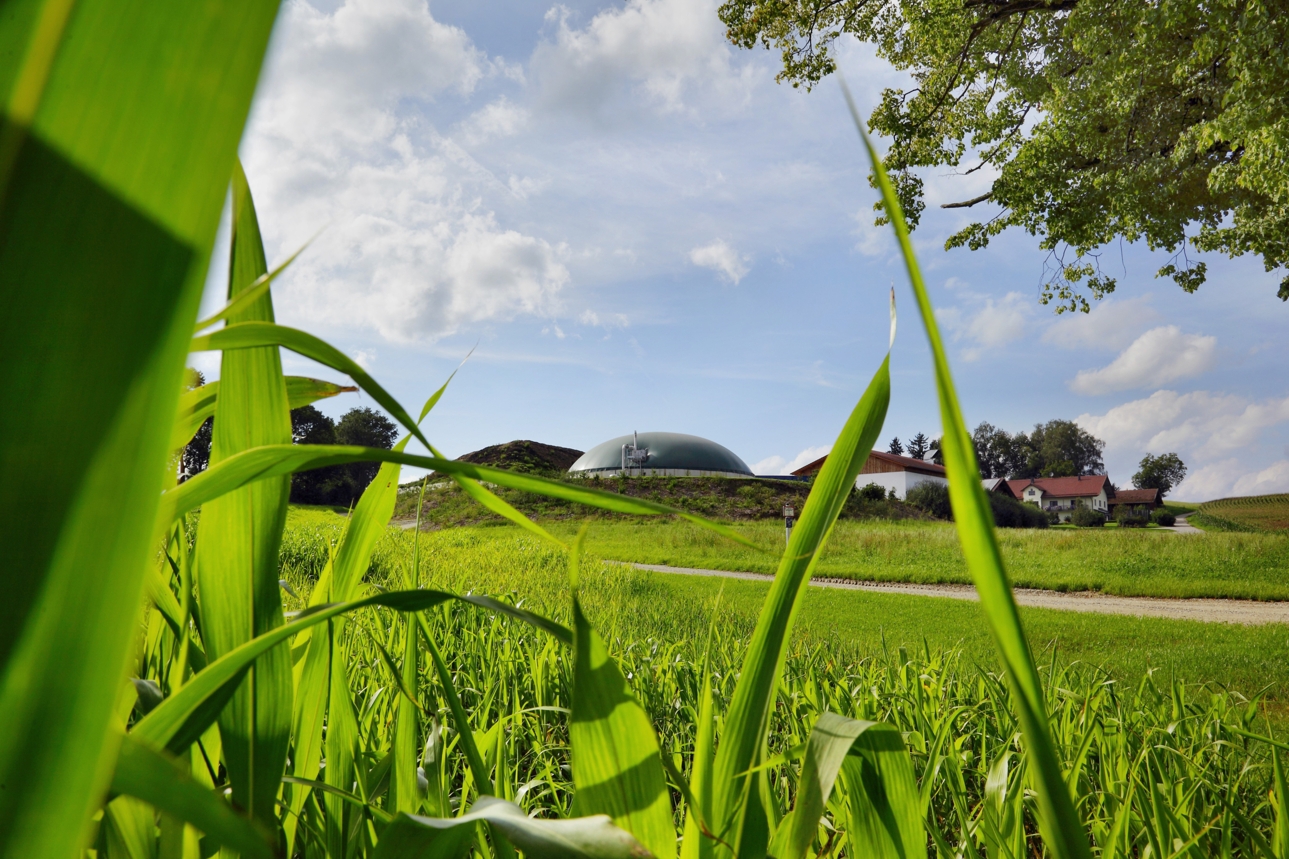 Five Technologies That Will Help Make Food System Carbon Neutral |  Technology News